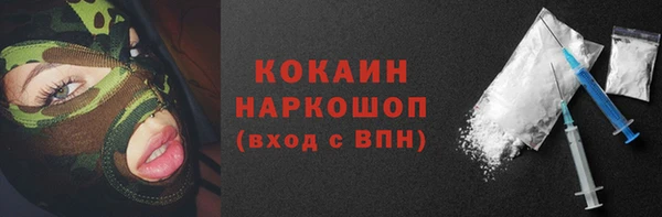 крисы Зеленодольск