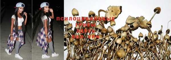apvp Зеленокумск