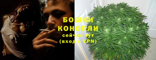 крисы Зеленодольск