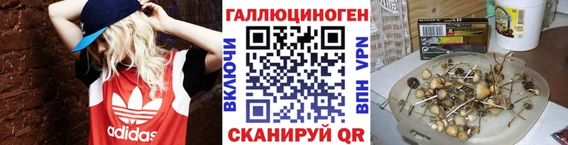 Псилоцибиновые грибы GOLDEN TEACHER  Купить  Фурманов 